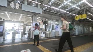 生まれ故郷