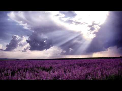 Marsbeing - Lost Angel (Original Mix)