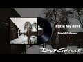 David Gilmour - Raise My Rent (Official Audio)