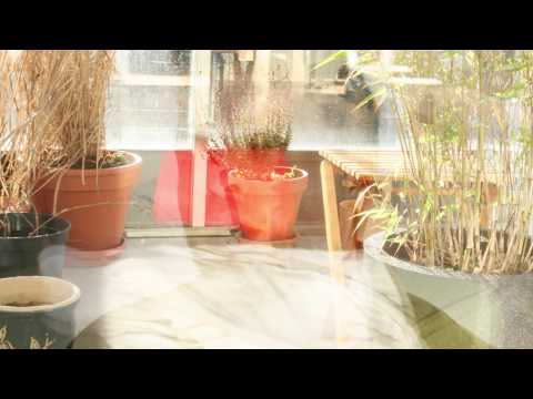 Hajk - Not Anymore (official video)