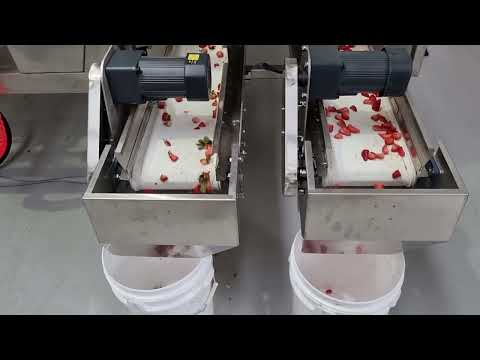 #Autopacsystems Australia #sorting sliced strawberry using #coloursorter #AMD