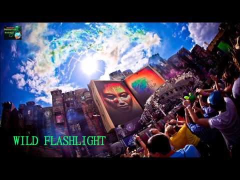 Sean&Bobo x Swede Dreams x R3HAB & Deorro - WILD FLASHLIGHT (BadDay2Live MASHUP)