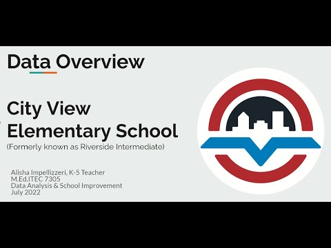 Data Overview of City View Elementary School