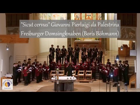"Sicut cervus" Giovanni Pierluigi da Palestrina | Freiburger Domsingknaben (Boris Böhmann)