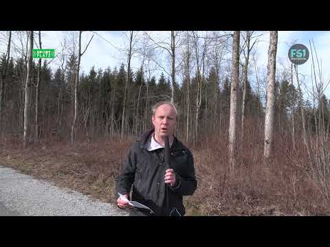 Sportplatz | Fußball aus Salzburg: FC Puch | FS1