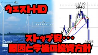 【ストップ安】ウエストホールディングス(1407) 今後の投資方針解説