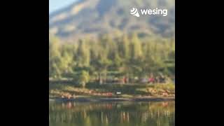 Download lagu Sabda Alam, Yuni Shara [Shitta] mp3