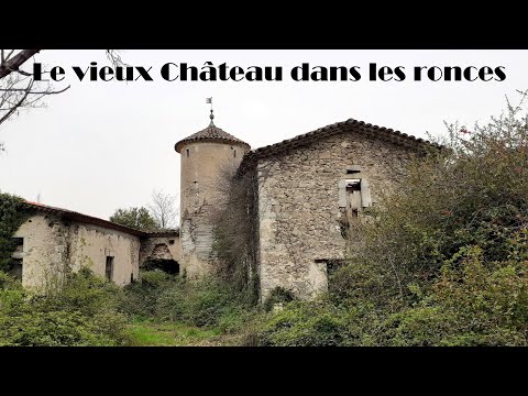 Le vieux Château abandonné au milieu des ronces .