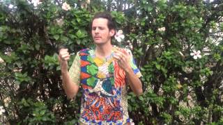 Universal Pocket - Within Finite (Thelevi Remix)