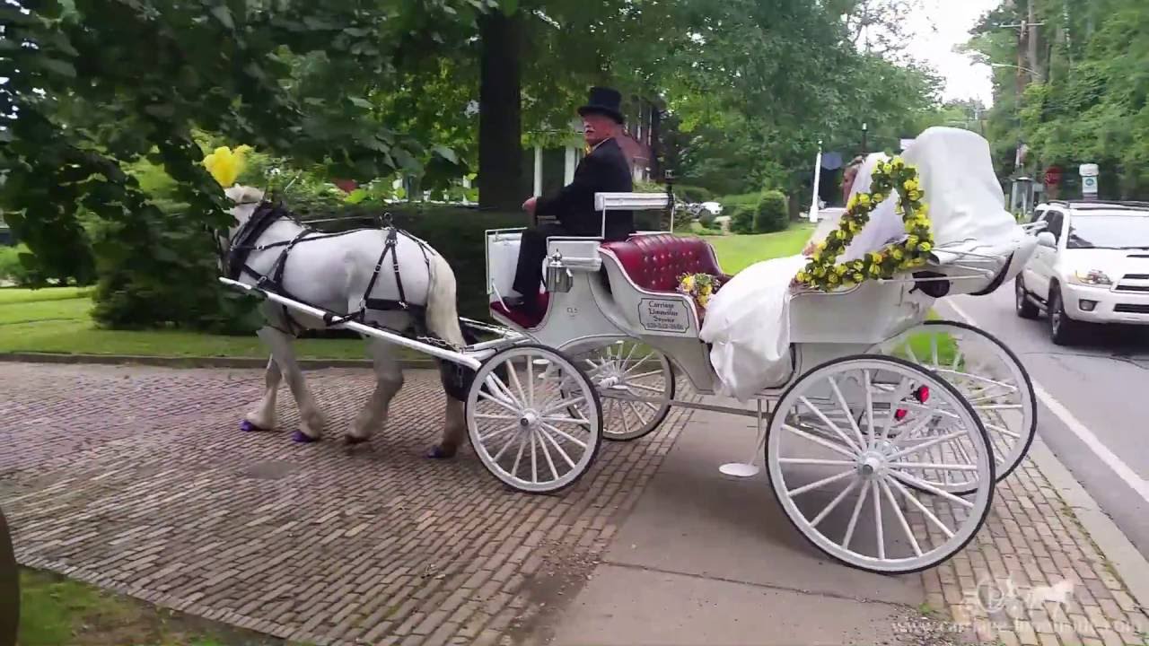 Hire Carriage Limousine Service Horse Drawn Carriages Horse Drawn