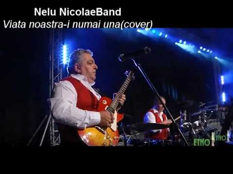Nelu NicolaeBand  - Viata noastra - i numai una (cover)