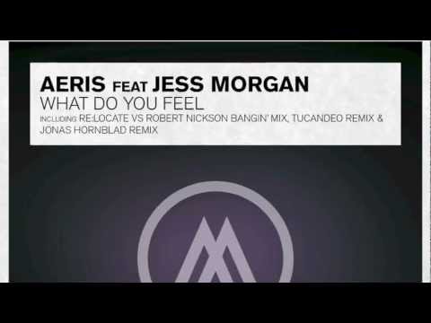 Aeris feat. Jess Morgan - What Do You Feel (Jonas Hornblad Remix)