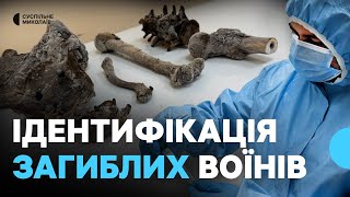 ДНК, дактилоскопия и каталог: как на Николаевщине устанавливают погибших защитников