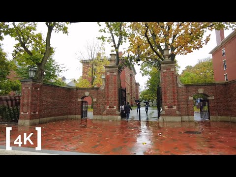 Walking in the Rain at Harvard in Boston, MA (Binaural City Sounds) [4K Rain Ambience ASMR]