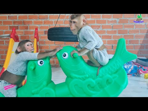 awesome Sam boy & Asher playing seesaw together