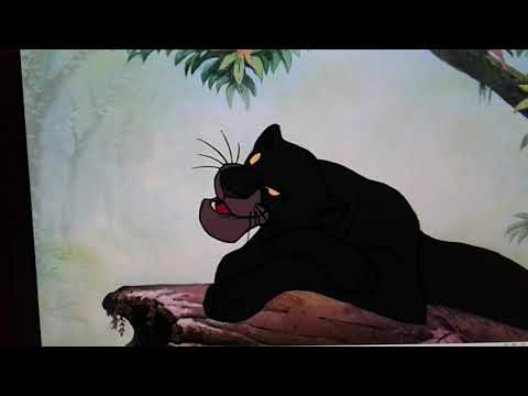 "Kung Fu Pig" Part 5 - The Tournament/Huxley Is Chosen