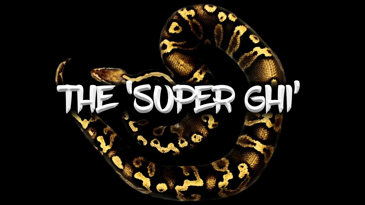 The 'Super GHI' ball python