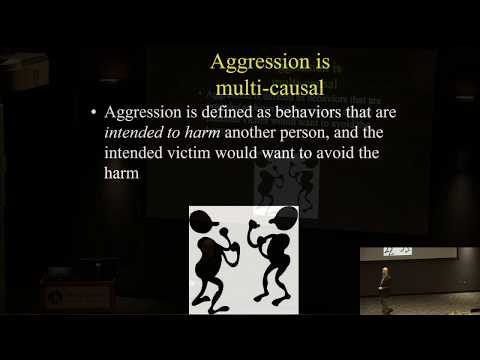 It IS Brain Science: Media Violence as a Risk for Aggression 2/19/20