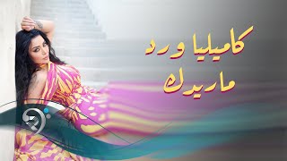 كلمات اغنية ما ريدك كاميليا ورد