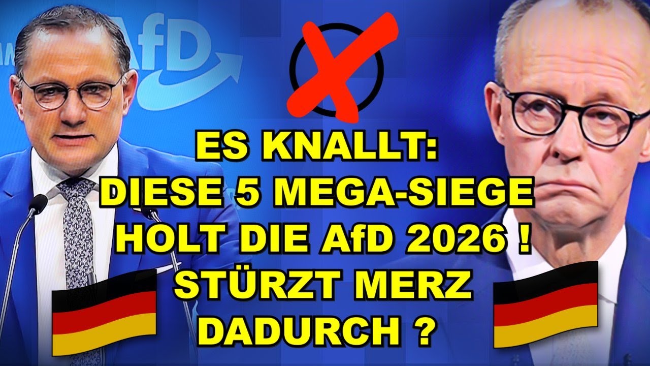LEAK! DIESE 5 SIEGE holt die AfD 2026!