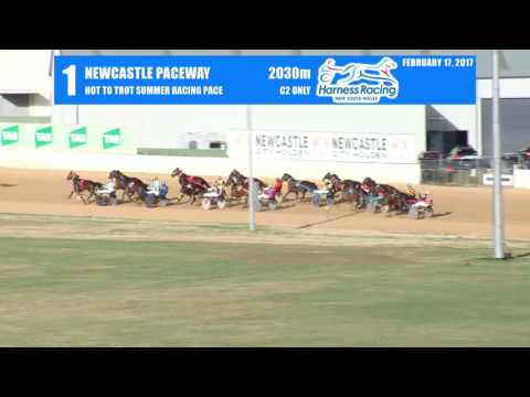 NEWCASTLE - 17/02/2017 - Race 1 - HOT TO TROT SUMMER RACING PACE