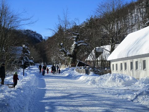 Ilsenburg; Schneeeinbruch im Harz - Februar 2021