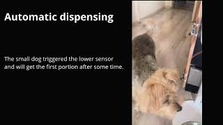 Automatic Dog Feeder