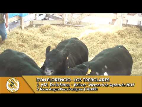 04-08-17 - Venta de Toros Angus P. Pedigree - Don Florencio - Los Trebolares - Bolivar