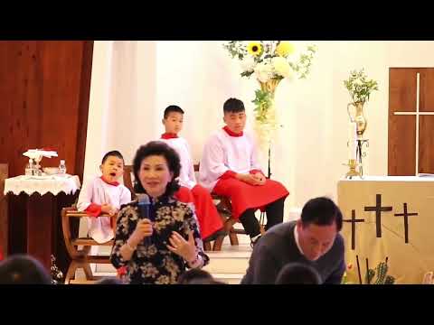 Giới Thiệu CT/TTHNGĐ