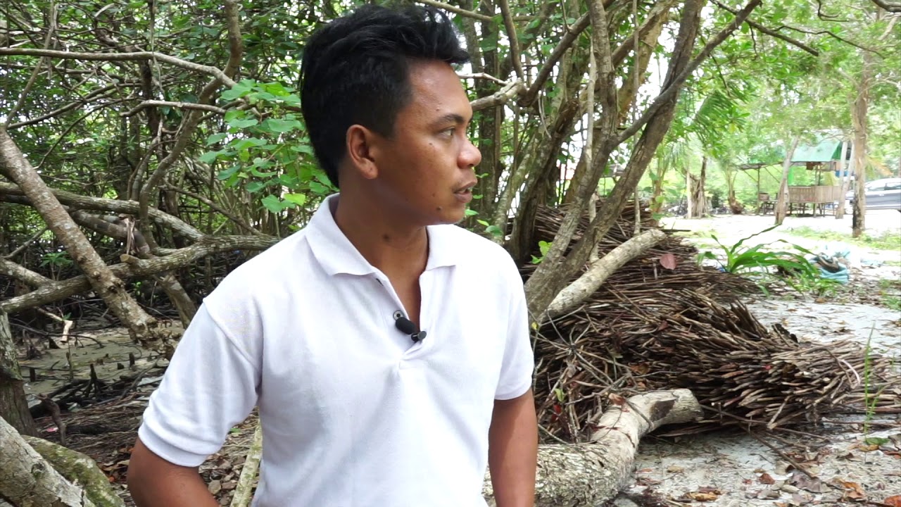 Perhutanan Sosial yang dikelola oleh Pemuda? IUPHKm PNPA Mangrove