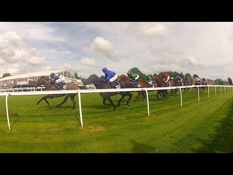 2014 Epsom Derby Walkabout by VeeDubRacing