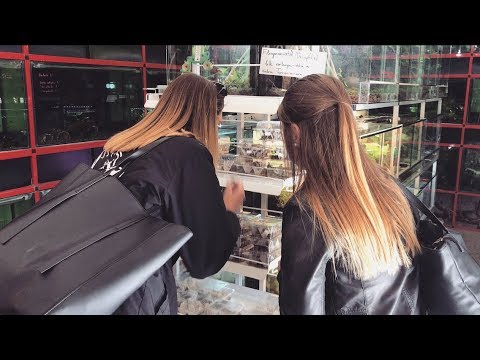 (Heu)schreckliche Erfahrung  |  small & tall