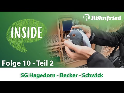 Röhnfried Inside - SG Hagedorn Becker Schwick - Teil 2
