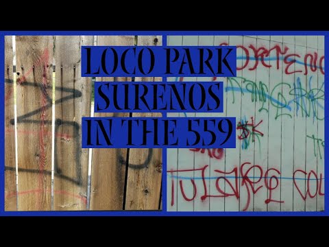 Loco park Surenos….Oriental troops…first time getting knocked out#youtube #559 #surenos #new #gang