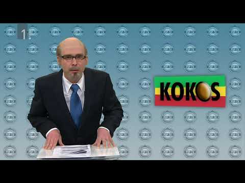 KAJ DOGAJA - PUP TV  - STRANKA KOKOS