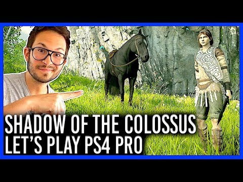 SHADOW of the COLOSSUS, LA DIVINE SURPRISE ? TEST PS4 PRO