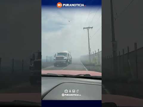 Alerta Roja en Limache por incendio forestal obliga a evacuar dos sectores