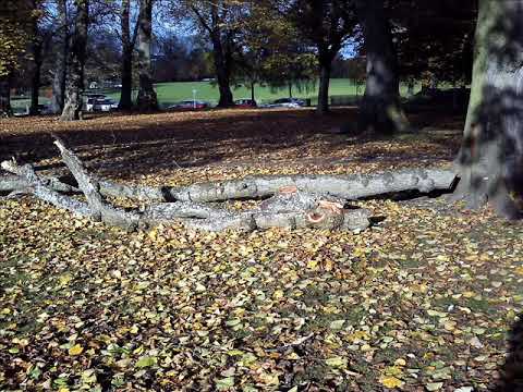 Play video on YouTube