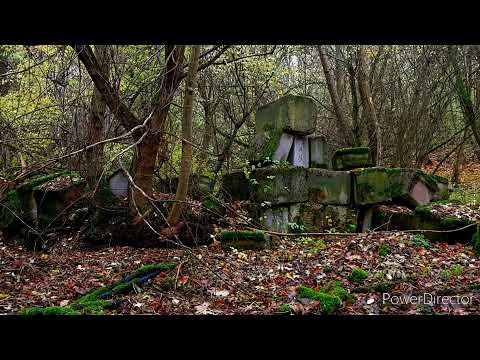 Las lotnisko Kluczewo