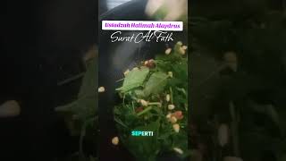 Download lagu #ustadzahhalimahalaydrus #suratalfath #tumisbayamjagung #masakanrumah mp3