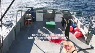 Barco japonês domina pesca de atum em águas do Brasil