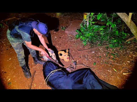 WE KILLED THE CREATURE WATCH UNTIL THE END - LEGEND OF THE CREATURE