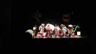 preview picture of video 'Murga Los Prevenios teatro domingo 16 de febrero, carnaval de cartaya 2014'