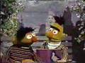 Classic Sesame Street Bert S Pigeon Jokes