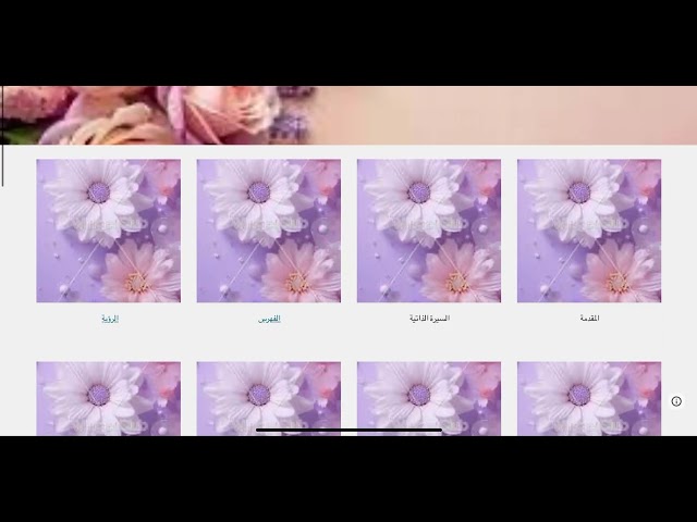 ملف شواهد الأداء الوظيفي للمعلمين و المعلمات