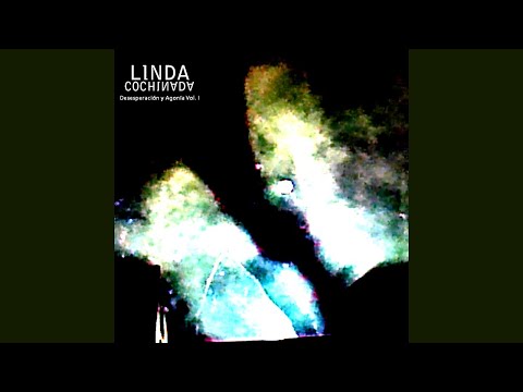 Linda Cochinada  - Disminuido