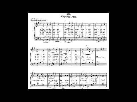 JKS 406 - Vykvitla ruža