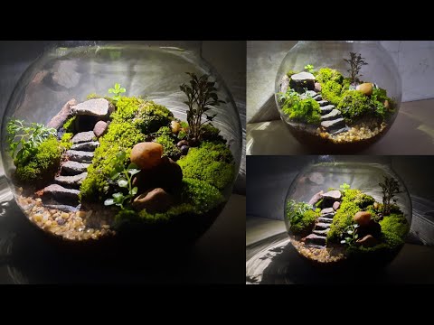 Terrarium | How to make terrarium | Moss terrarium | Fairy Garden