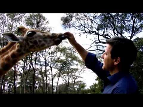 WTF! What The Future - 2 min  Promo