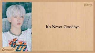 Download lagu NCT DREAM Never Goodbye Easy Lyrics mp3